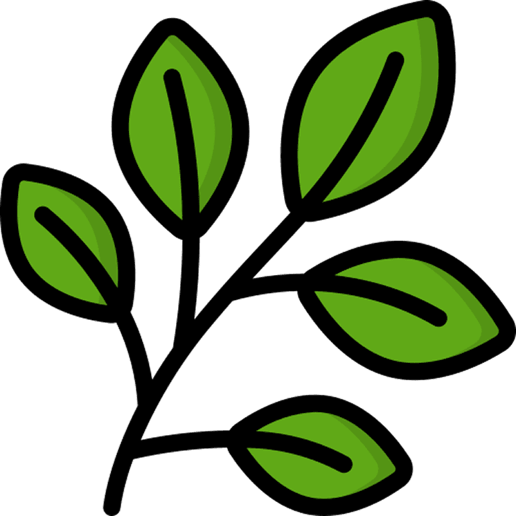 Plant growing
